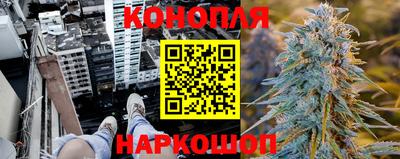 прущие крисы Изобильный