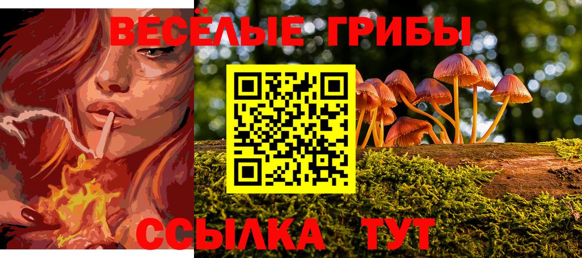 Курчатов  Галлюциногенные грибы Magic Shrooms  Вход с VPN 